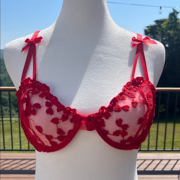 Red Sheer Mesh Bra with Heart Embroidery | Y2K Lingerie Aesthetic | Romantic M - Picture 1 of 4